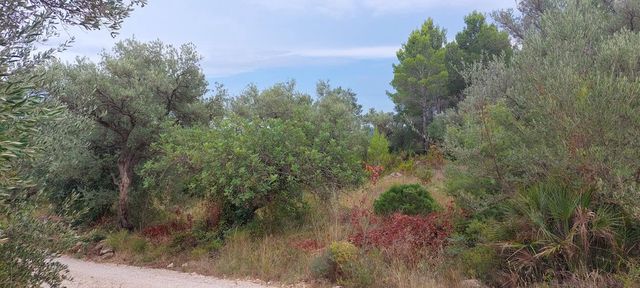 Finca/Casa Rural en Aldover en venta - 11.000 € (Ref: 7050371)
