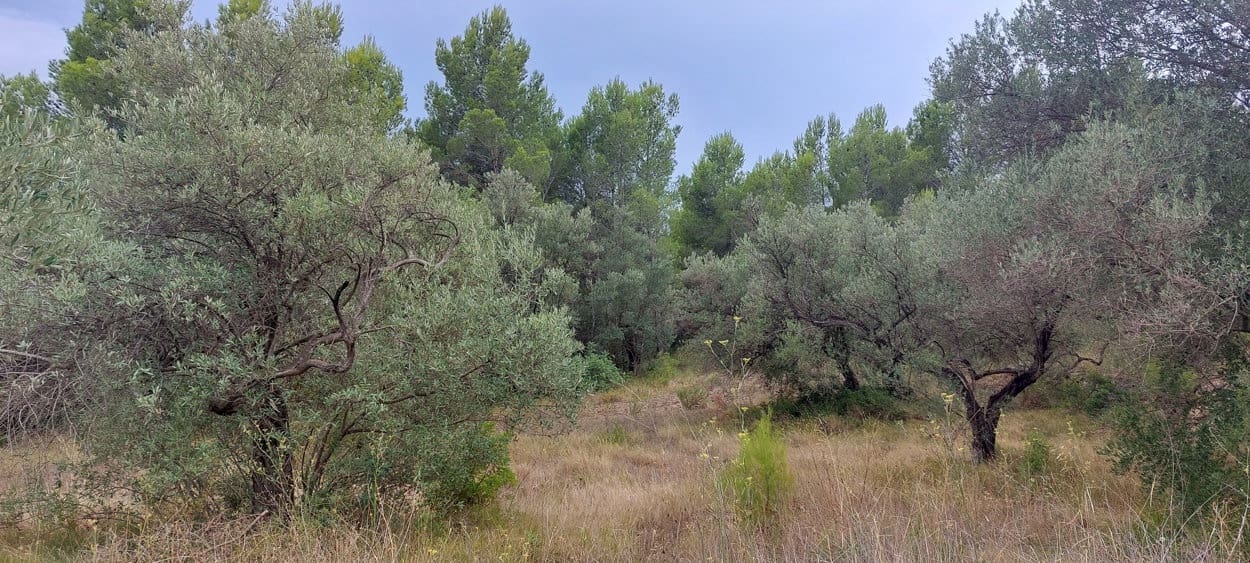 Finca/Hus på landet till salu i Aldover - 11 000 € (Ref: 7050371)