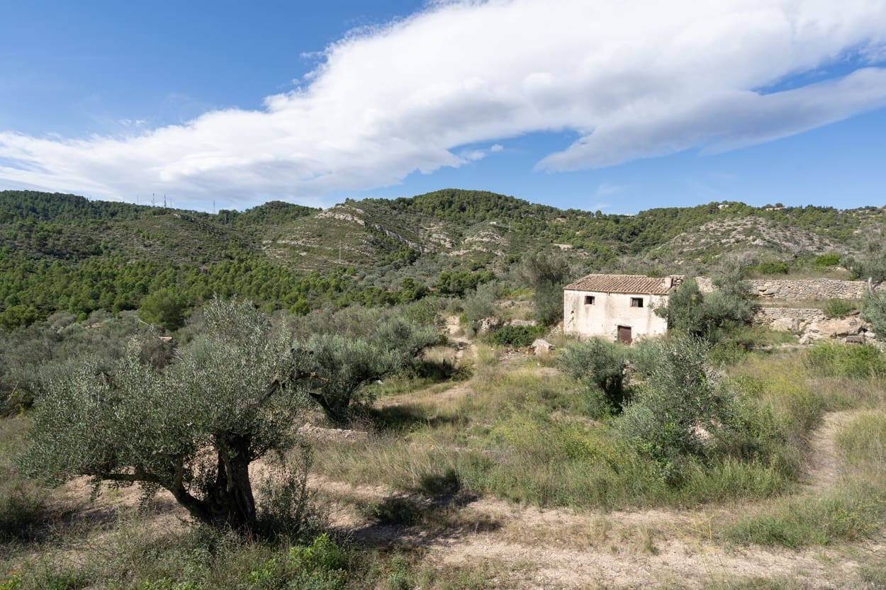 1 sypialnia Finka/Dom wiejski na sprzedaż w Tortosa - 35 000 € (Ref: 7111006)