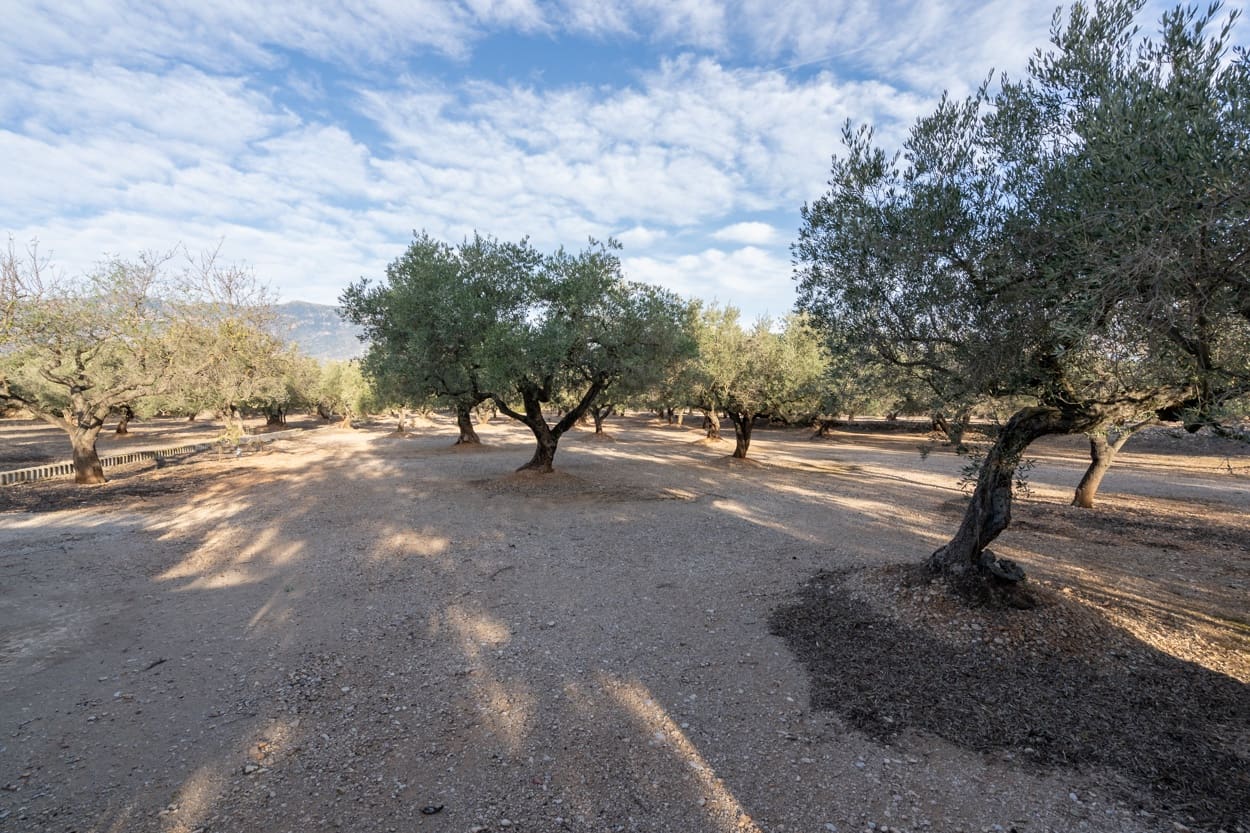 3 Zimmer Finca/Landgut zu verkaufen in Roquetes - 170.000 € (Ref: 7221076)