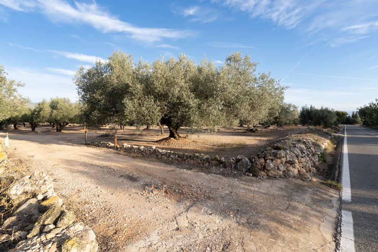 3 Zimmer Finca/Landgut zu verkaufen in Roquetes - 170.000 € (Ref: 7221076)