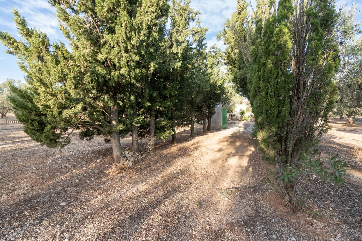 3 Zimmer Finca/Landgut zu verkaufen in Roquetes - 170.000 € (Ref: 7221076)