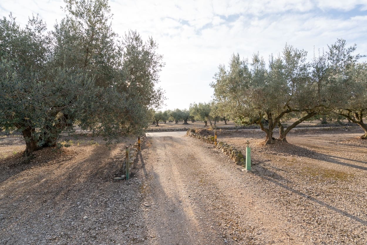 3 Zimmer Finca/Landgut zu verkaufen in Roquetes - 170.000 € (Ref: 7221076)