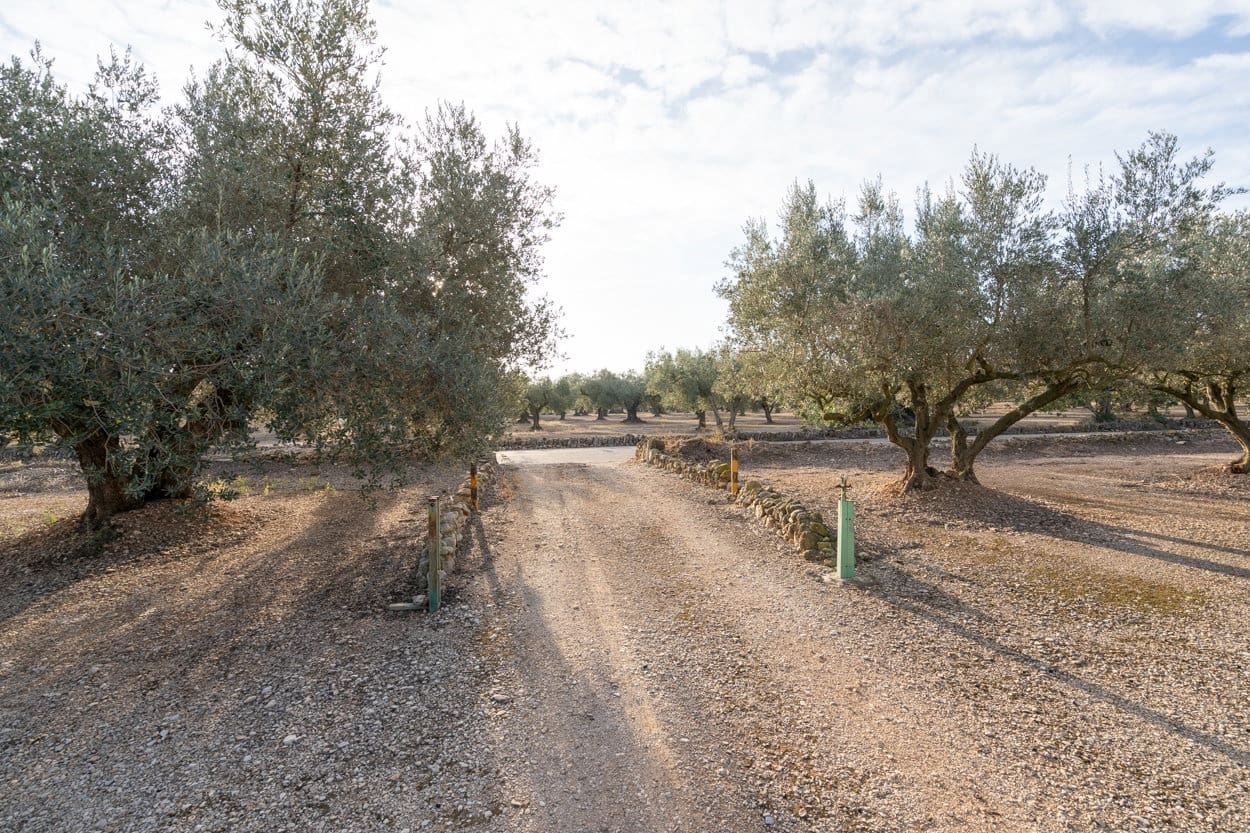 3 bedroom Finca/Country House for sale in Roquetes - € 170,000 (Ref: 7221076)