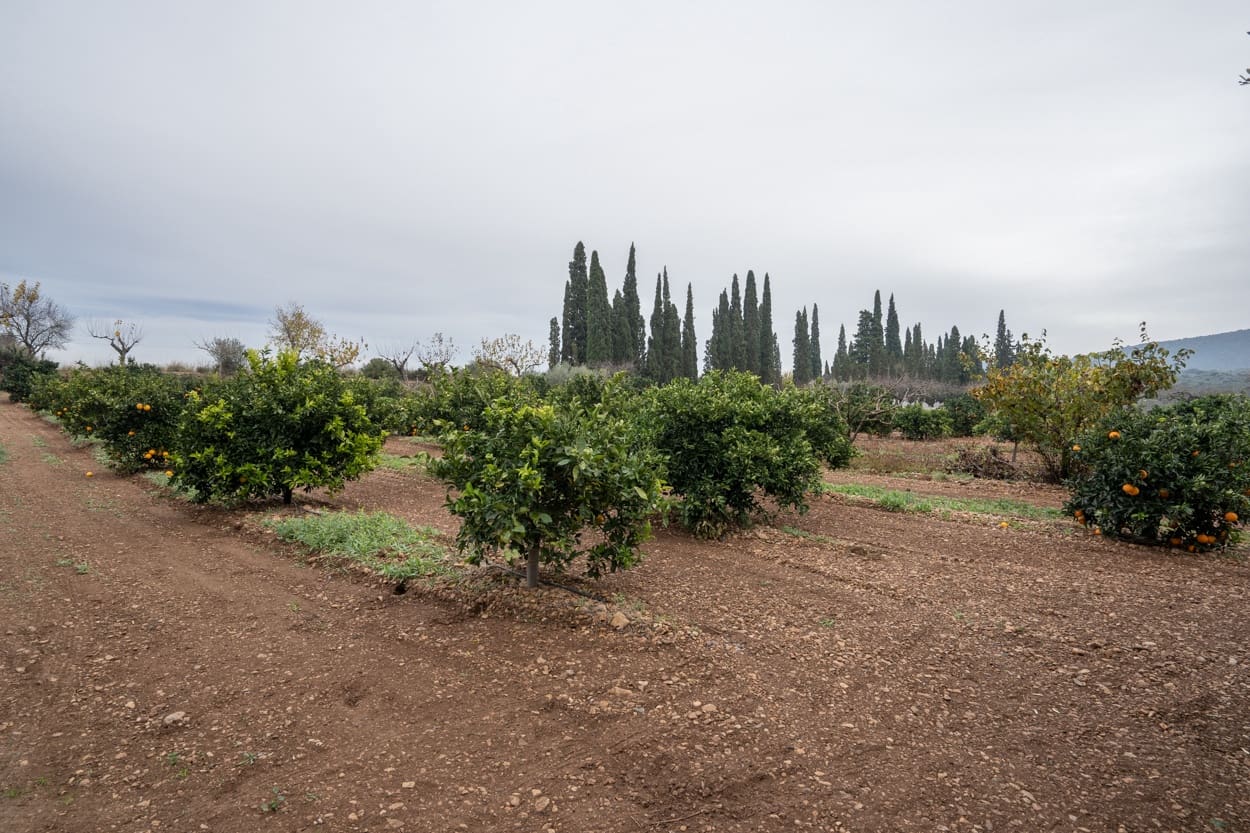 Finka/Dom wiejski na sprzedaż w La Galera - 156 000 € (Ref: 7293085)