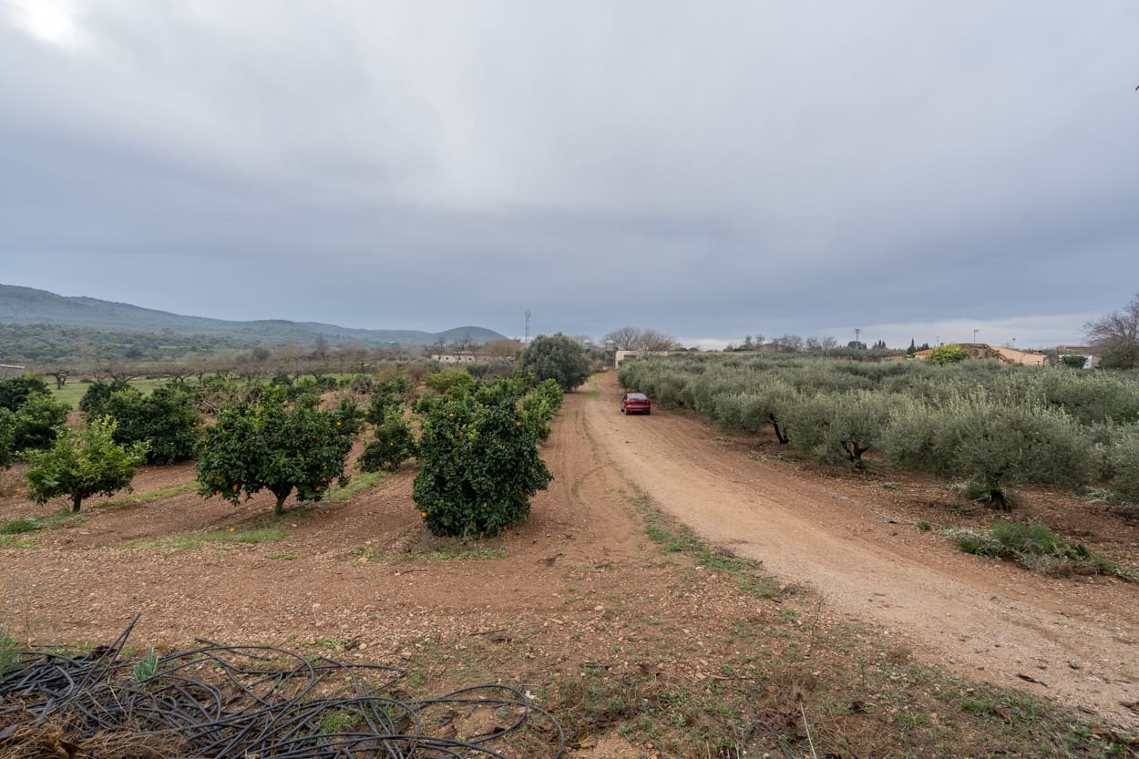 Finka/Dom wiejski na sprzedaż w La Galera - 156 000 € (Ref: 7293085)