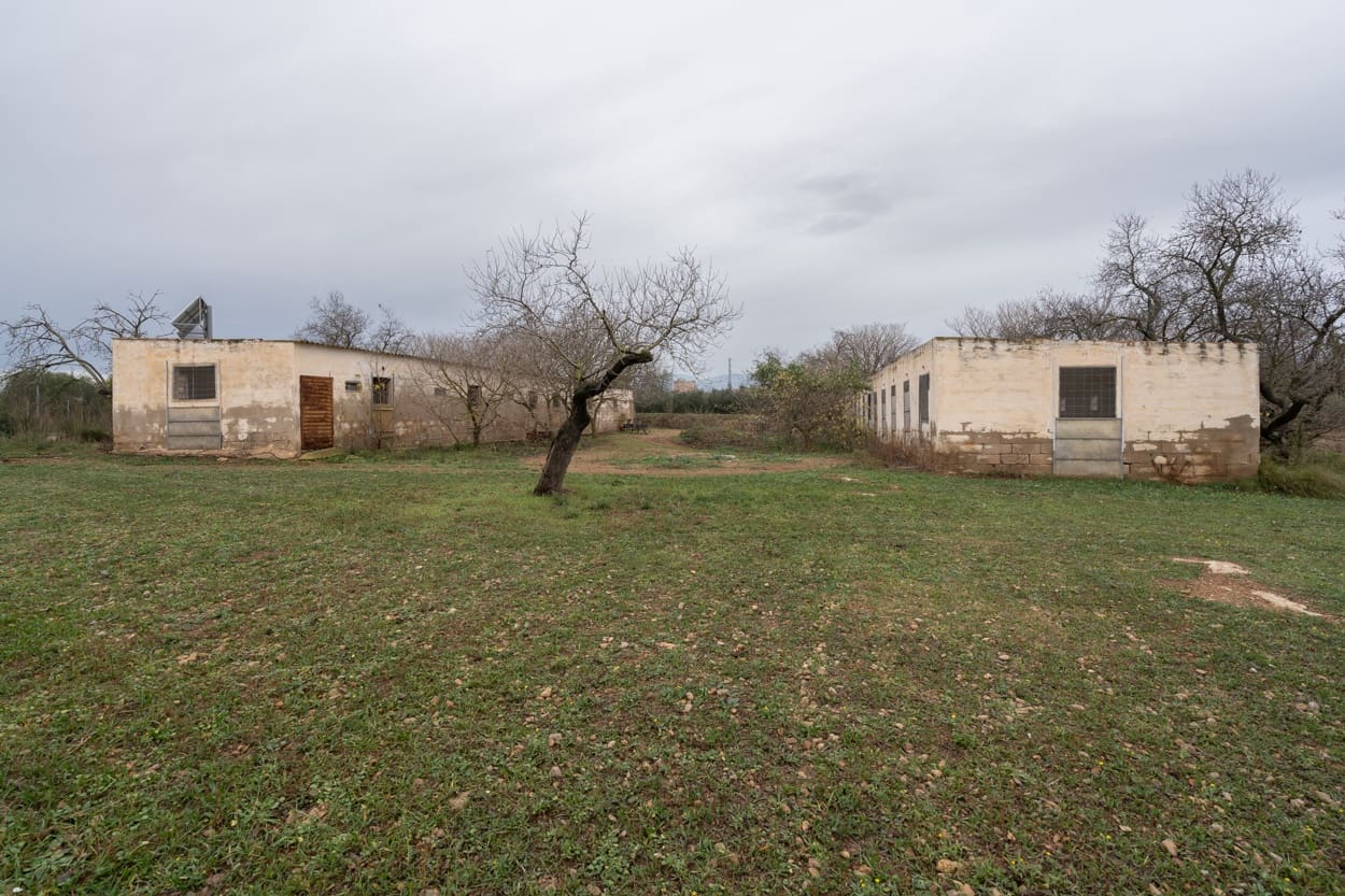 Finka/Dom wiejski na sprzedaż w La Galera - 156 000 € (Ref: 7293085)