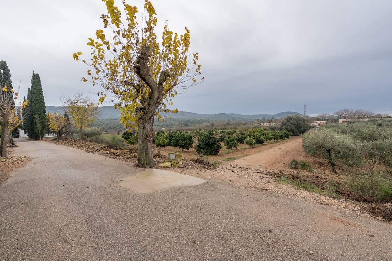 Finka/Dom wiejski na sprzedaż w La Galera - 156 000 € (Ref: 7293085)