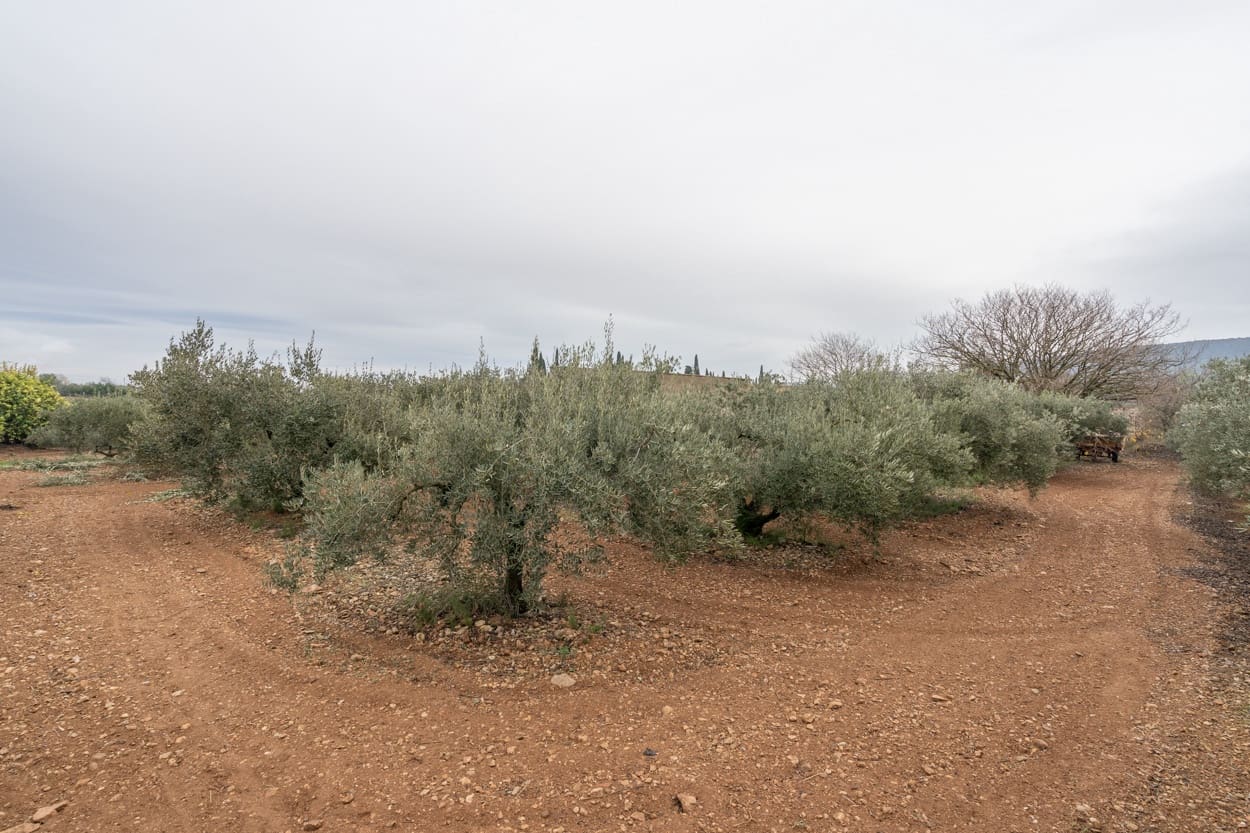 Finka/Dom wiejski na sprzedaż w La Galera - 156 000 € (Ref: 7293085)