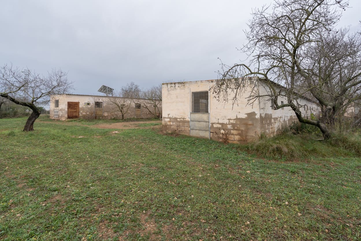 Finka/Dom wiejski na sprzedaż w La Galera - 156 000 € (Ref: 7293085)