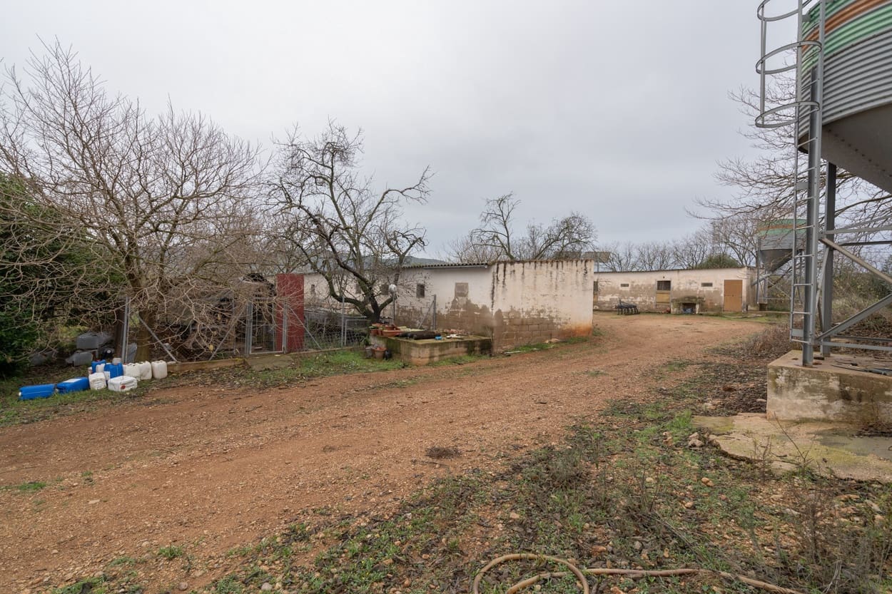 Finka/Dom wiejski na sprzedaż w La Galera - 156 000 € (Ref: 7293085)