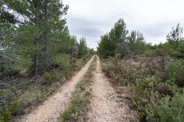 Finca/Landehus til salg i Canet lo Roig - € 27.000 (Ref: 7508787)