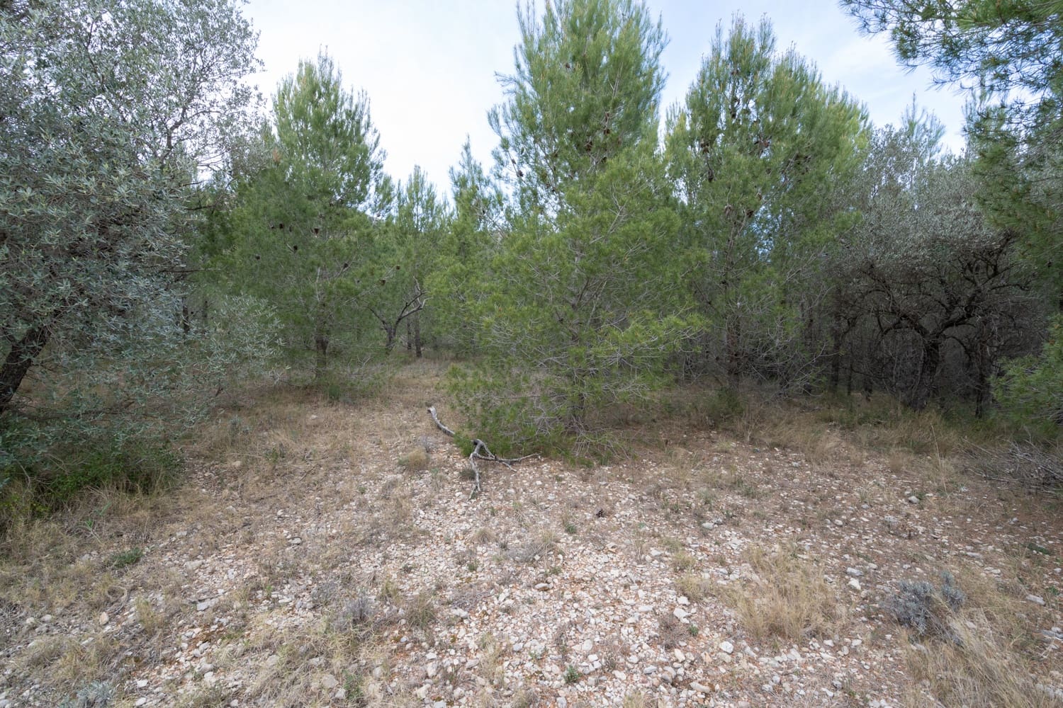 Finca/Country House for sale in Canet lo Roig - € 27,000 (Ref: 7508787)