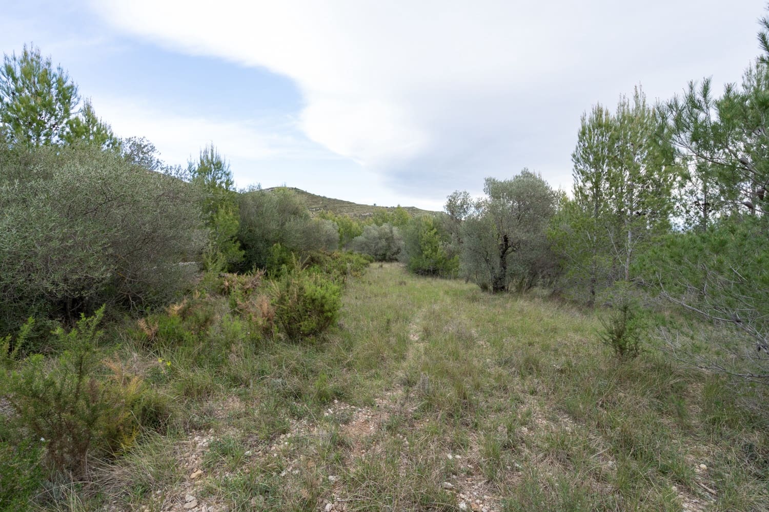 Finca/Country House for sale in Canet lo Roig - € 27,000 (Ref: 7508787)