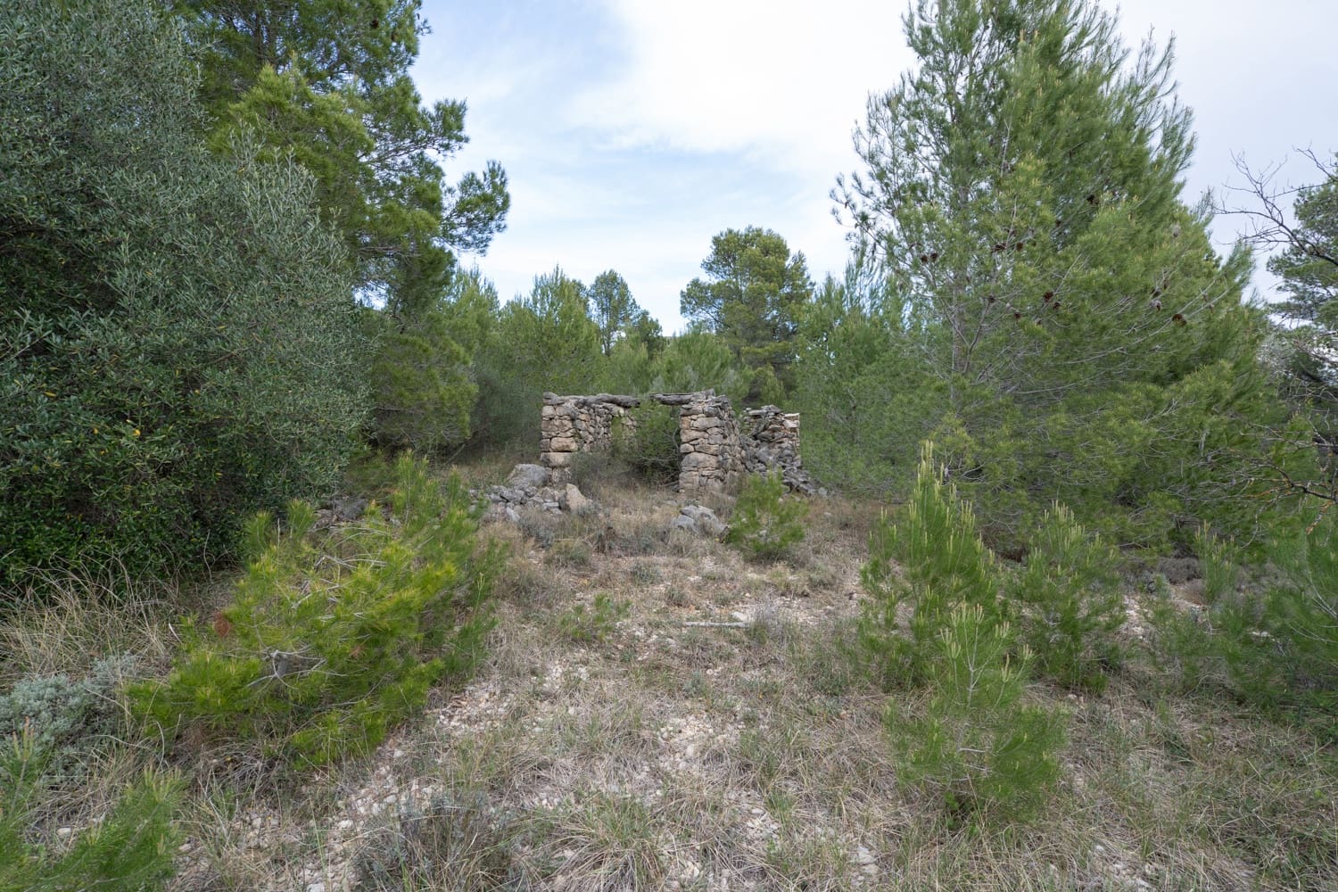 Finca/Country House for sale in Canet lo Roig - € 27,000 (Ref: 7508787)