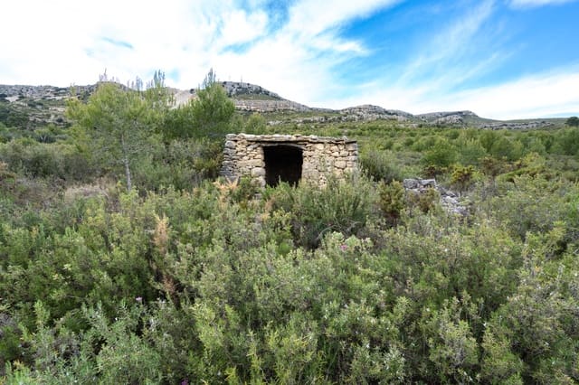 Finca/Landehus til salg i Canet lo Roig - € 27.000 (Ref: 7508787)
