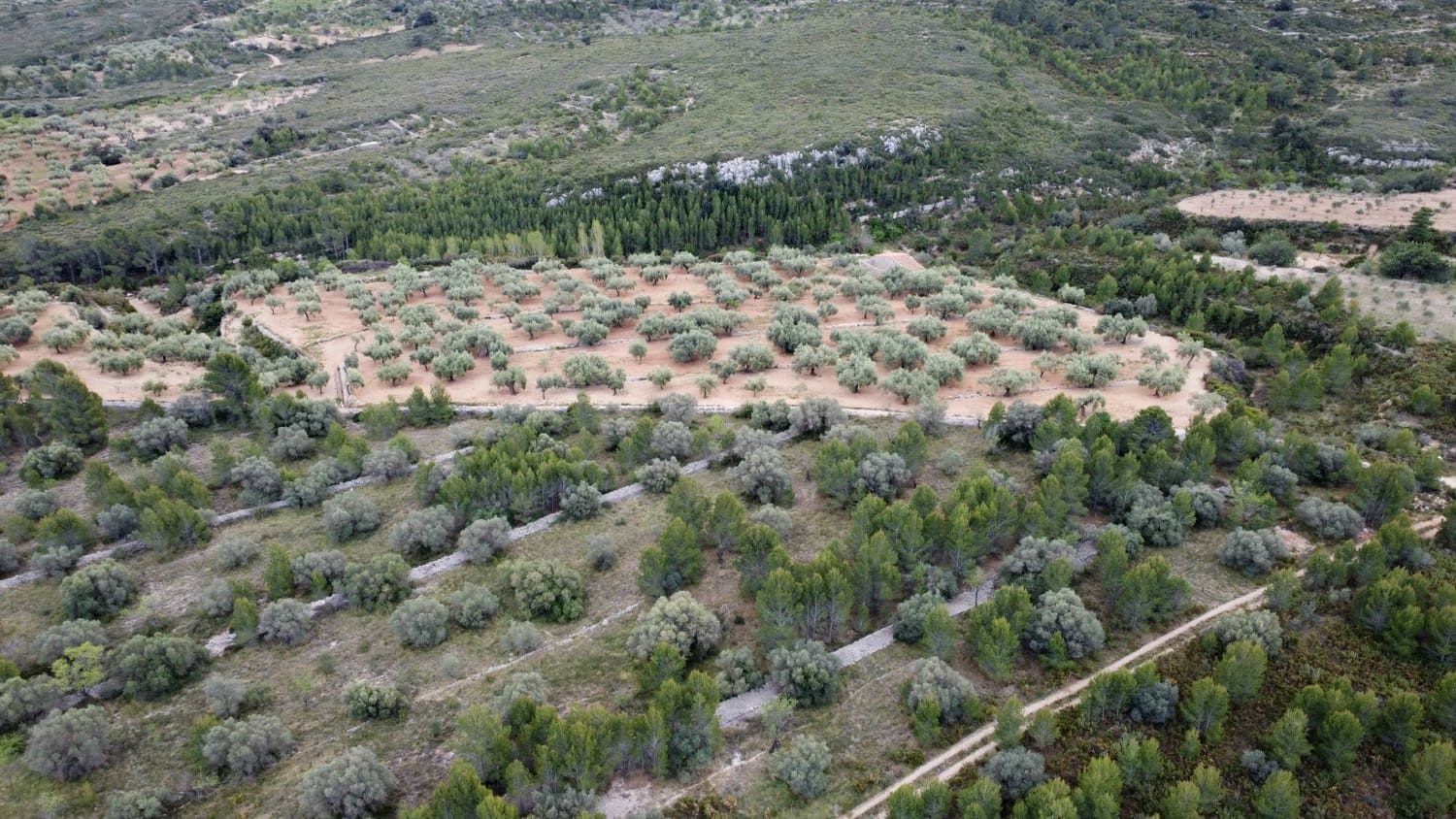 Finca/Country House for sale in Canet lo Roig - € 27,000 (Ref: 7508787)