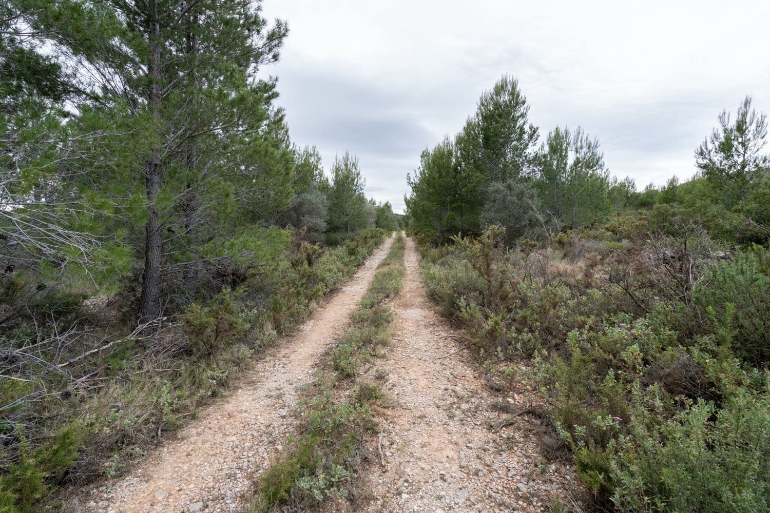 Finca/Casa Rural en Canet lo Roig en venta - 27.000 € (Ref: 7508787)