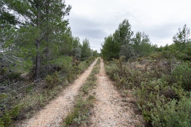 Maalaistalo myytävänä paikassa Canet lo Roig - 27 000 € (Ref: 7508787)