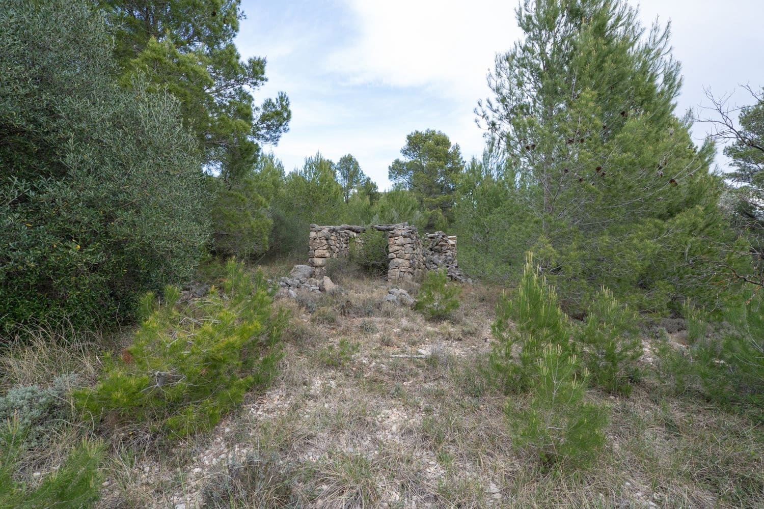 Finca/Casa Rural en Canet lo Roig en venta - 27.000 € (Ref: 7508787)