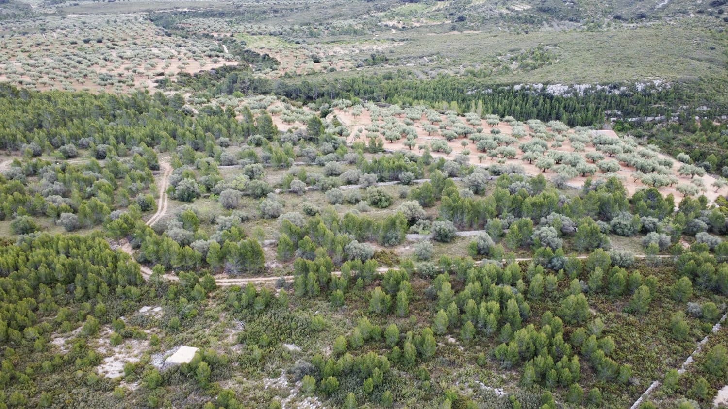 Finca/Casa Rural en Canet lo Roig en venta - 27.000 € (Ref: 7508787)