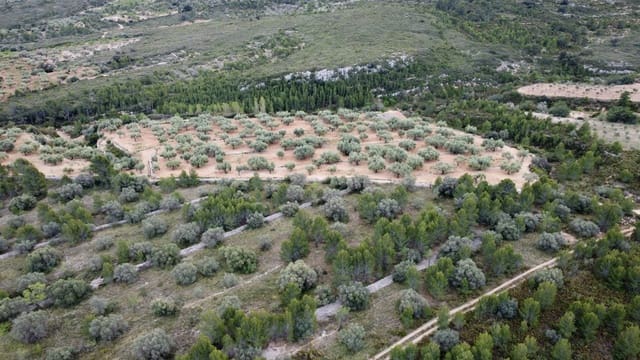 Maalaistalo myytävänä paikassa Canet lo Roig - 27 000 € (Ref: 7508787)
