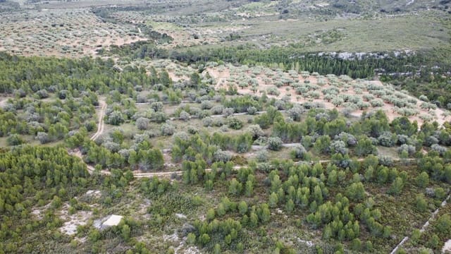 Maalaistalo myytävänä paikassa Canet lo Roig - 27 000 € (Ref: 7508787)