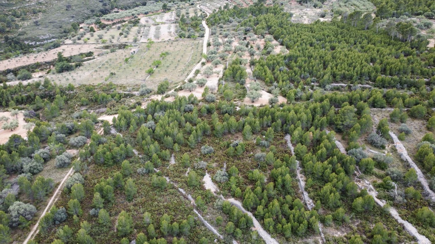 Finca/Casa Rural en Canet lo Roig en venta - 27.000 € (Ref: 7508787)