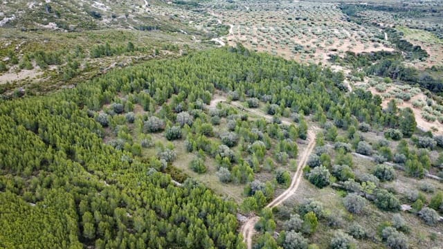 Maalaistalo myytävänä paikassa Canet lo Roig - 27 000 € (Ref: 7508787)