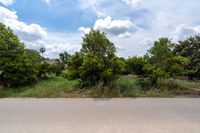 Finca/Maison de Campagne à vendre à Bitem, Tortosa - 20 000 € (Ref: 7623676)