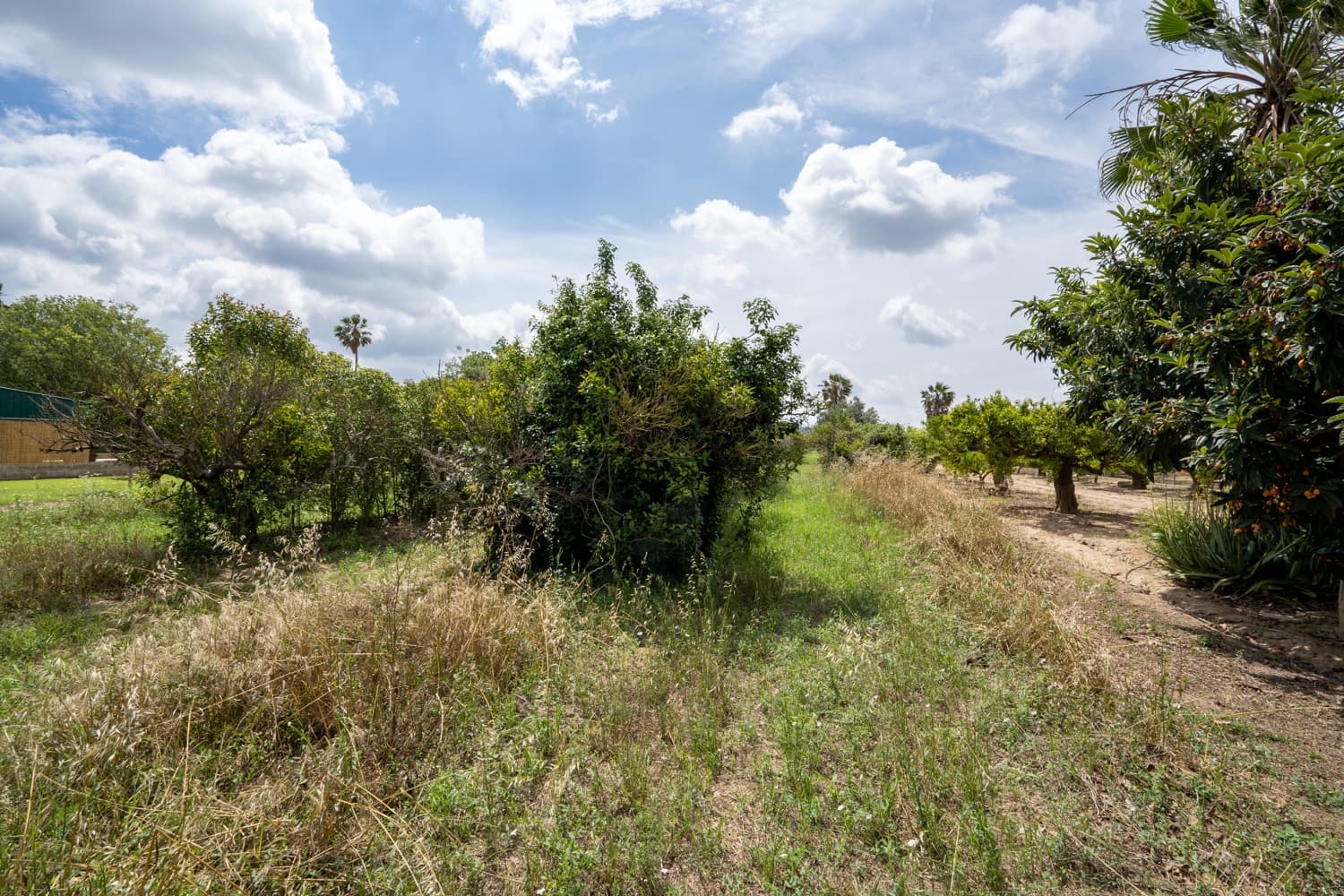 Finca/Landehus til salg i Bitem - € 20.000 (Ref: 7623676)