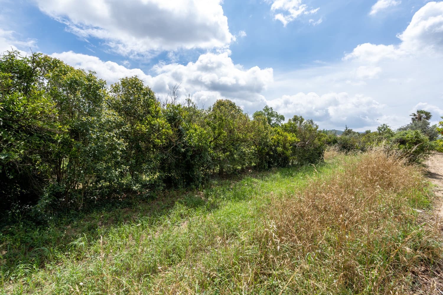 Finca/Landhuis te koop in Bitem - € 20.000 (Ref: 7623676)
