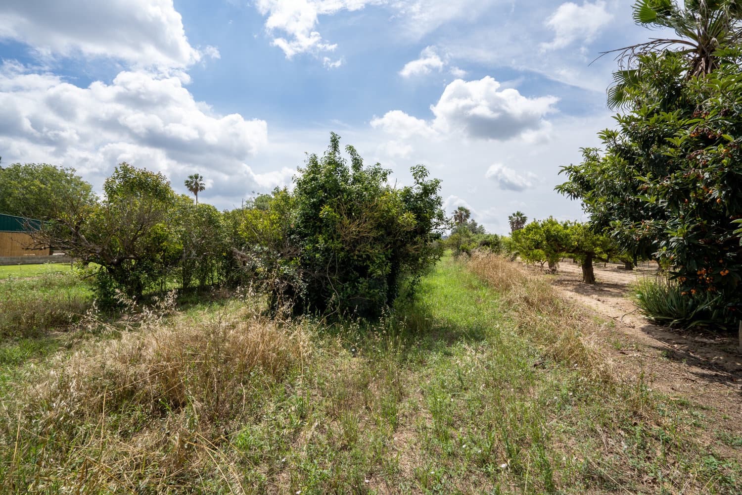 Finca/Landhuis te koop in Bitem - € 20.000 (Ref: 7623676)