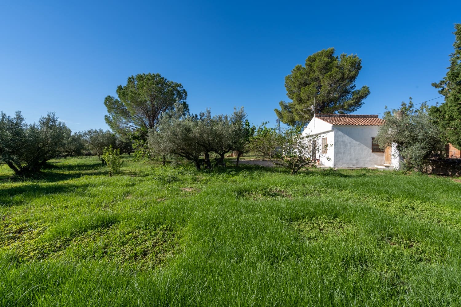 2 soveværelse Finca/Landehus til salg i Roquetes - € 144.000 (Ref: 7632516)