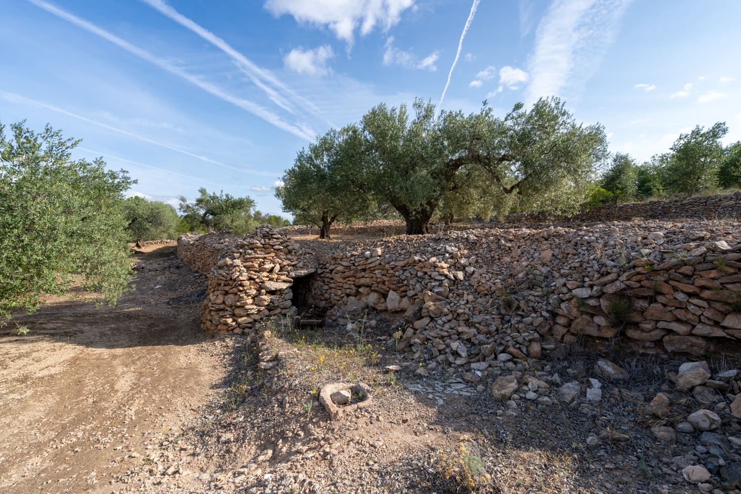 Finca/Landehus til salg i Bitem - € 38.000 (Ref: 7666587)