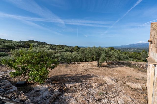 Finca/Casa Rural en Tortosa en venta - 38.000 € (Ref: 7666587)