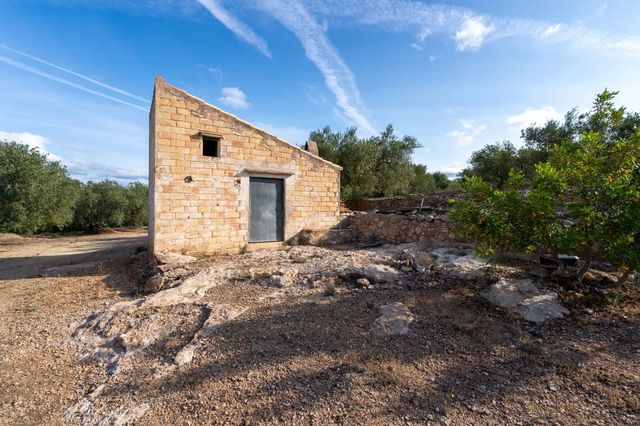 Finca/Casa Rural en Tortosa en venta - 38.000 € (Ref: 7666587)