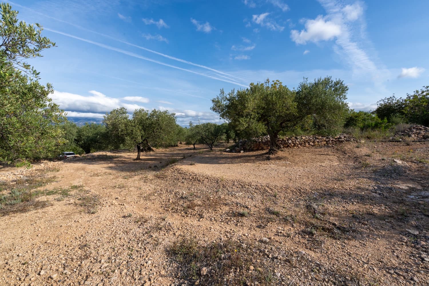 Maalaistalo myytävänä paikassa Tortosa - 38 000 € (Ref: 7666587)