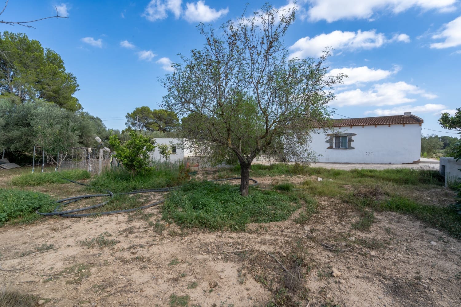 3 chambre Finca/Maison de Campagne à vendre à Vinallop avec piscine - 215 000 € (Ref: 7721212)