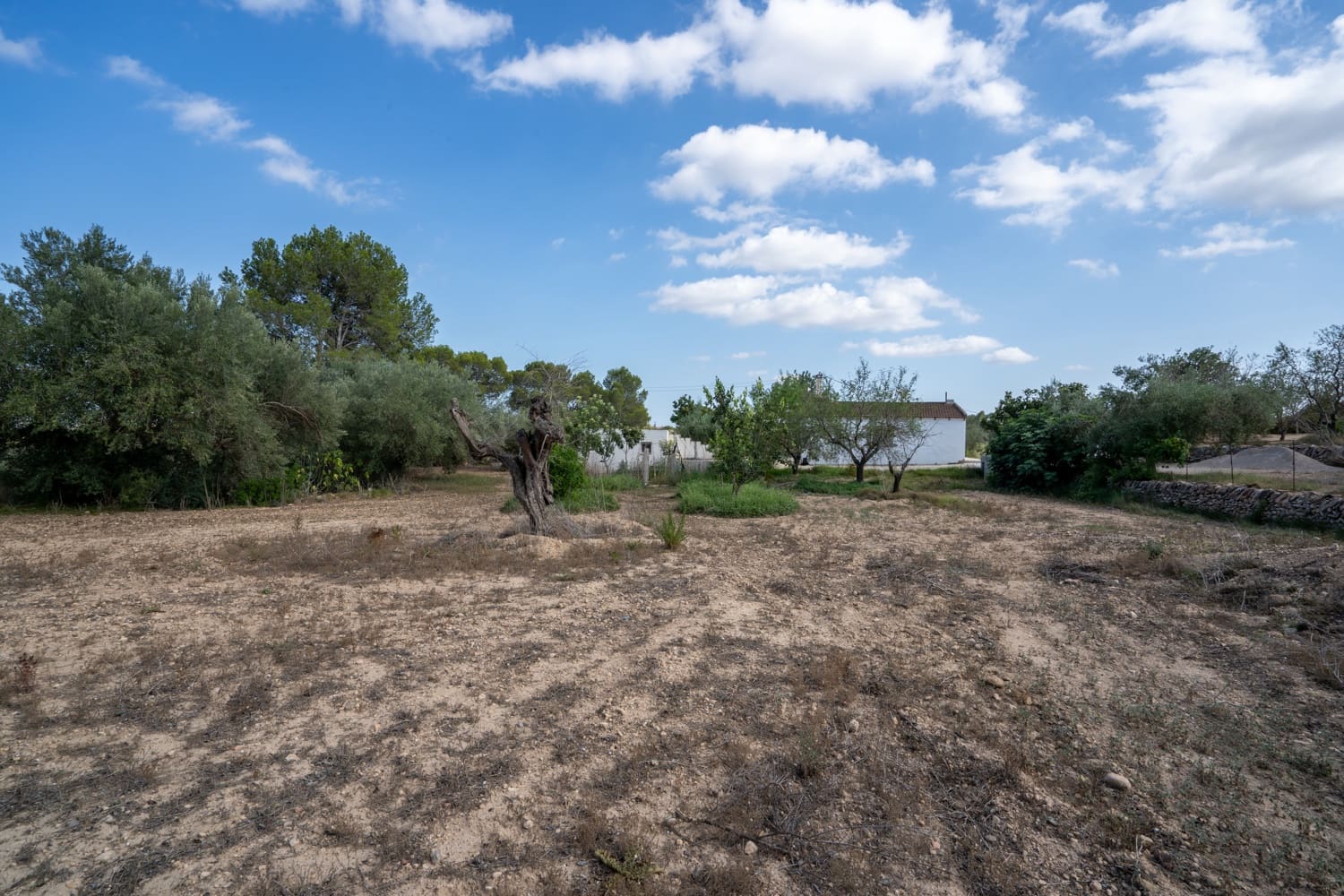 3 chambre Finca/Maison de Campagne à vendre à Vinallop avec piscine - 215 000 € (Ref: 7721212)