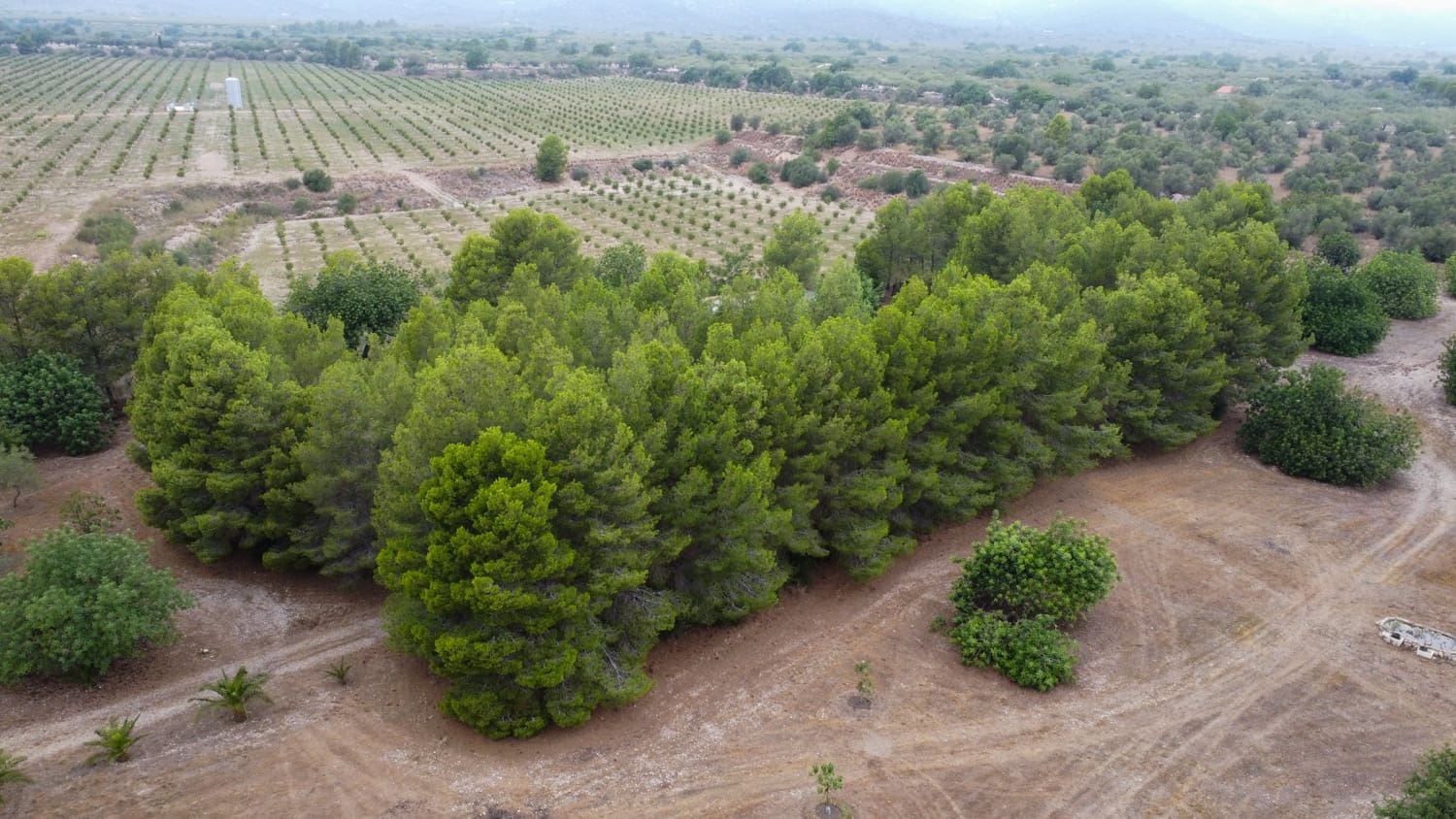 Finca/Country House for sale in Roquetes - € 160,000 (Ref: 7742698)