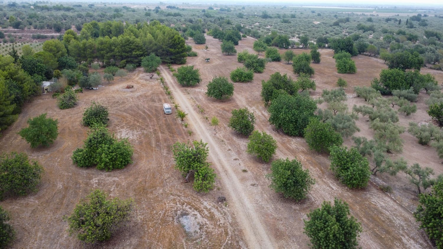 Finca/Country House for sale in Roquetes - € 160,000 (Ref: 7742698)