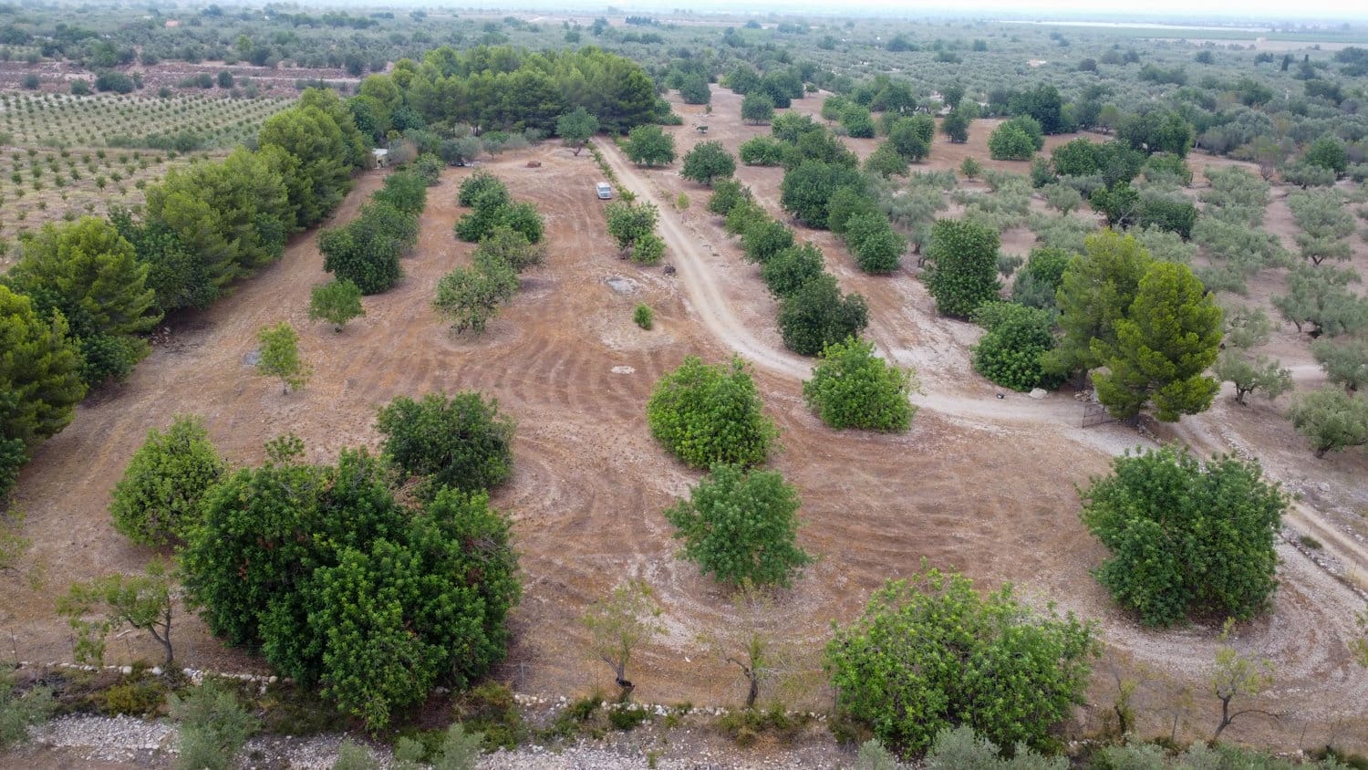 Finca/Country House for sale in Roquetes - € 160,000 (Ref: 7742698)