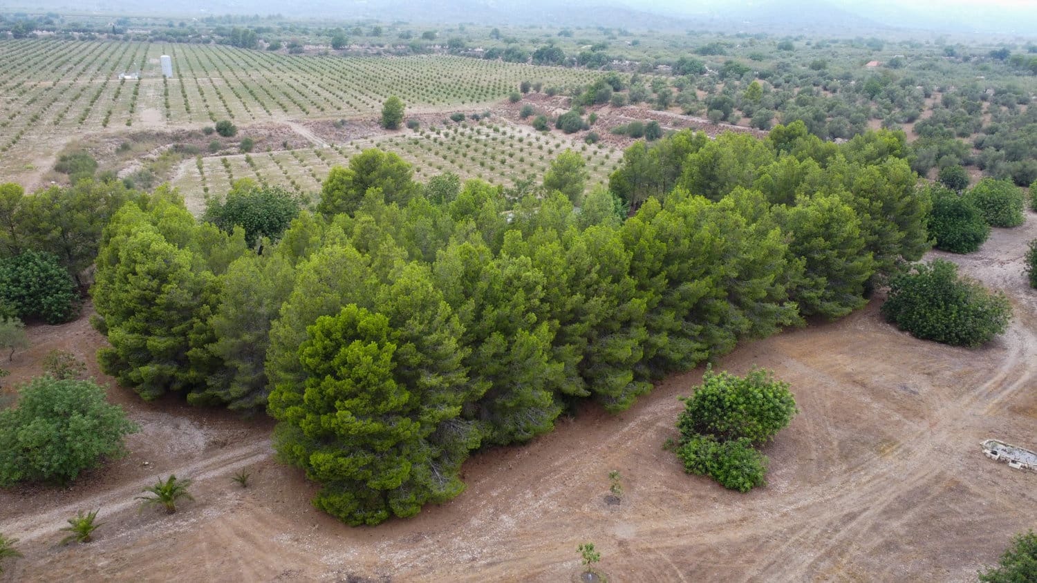 Finca/Country House for sale in Roquetes - € 160,000 (Ref: 7742698)
