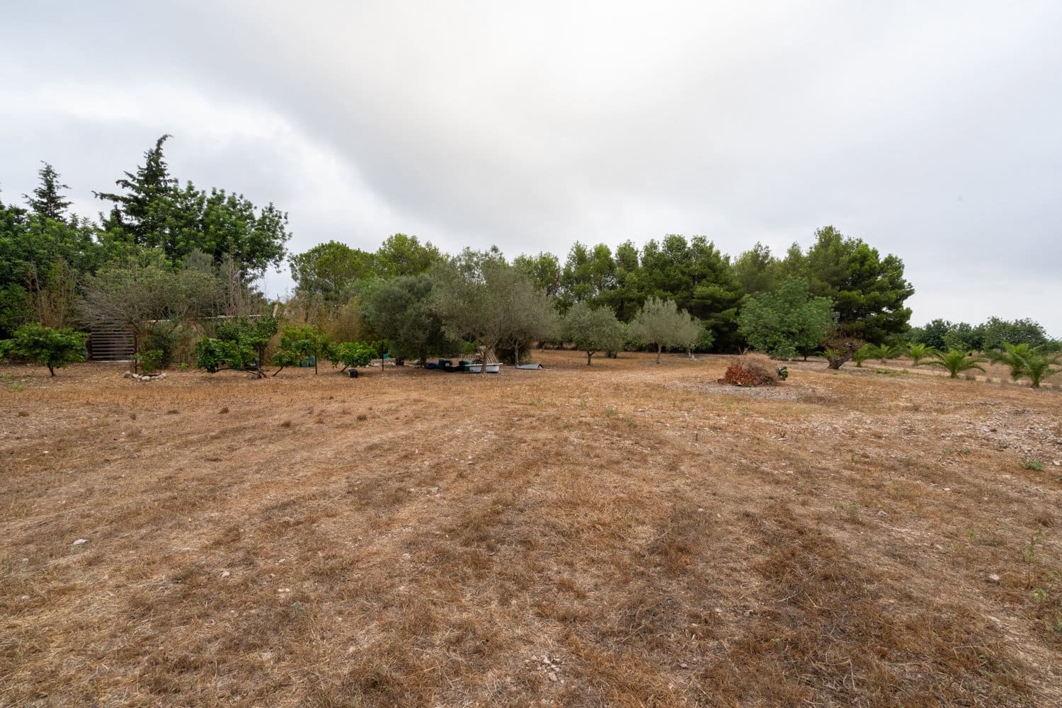 Finca/Country House for sale in Roquetes - € 160,000 (Ref: 7742698)