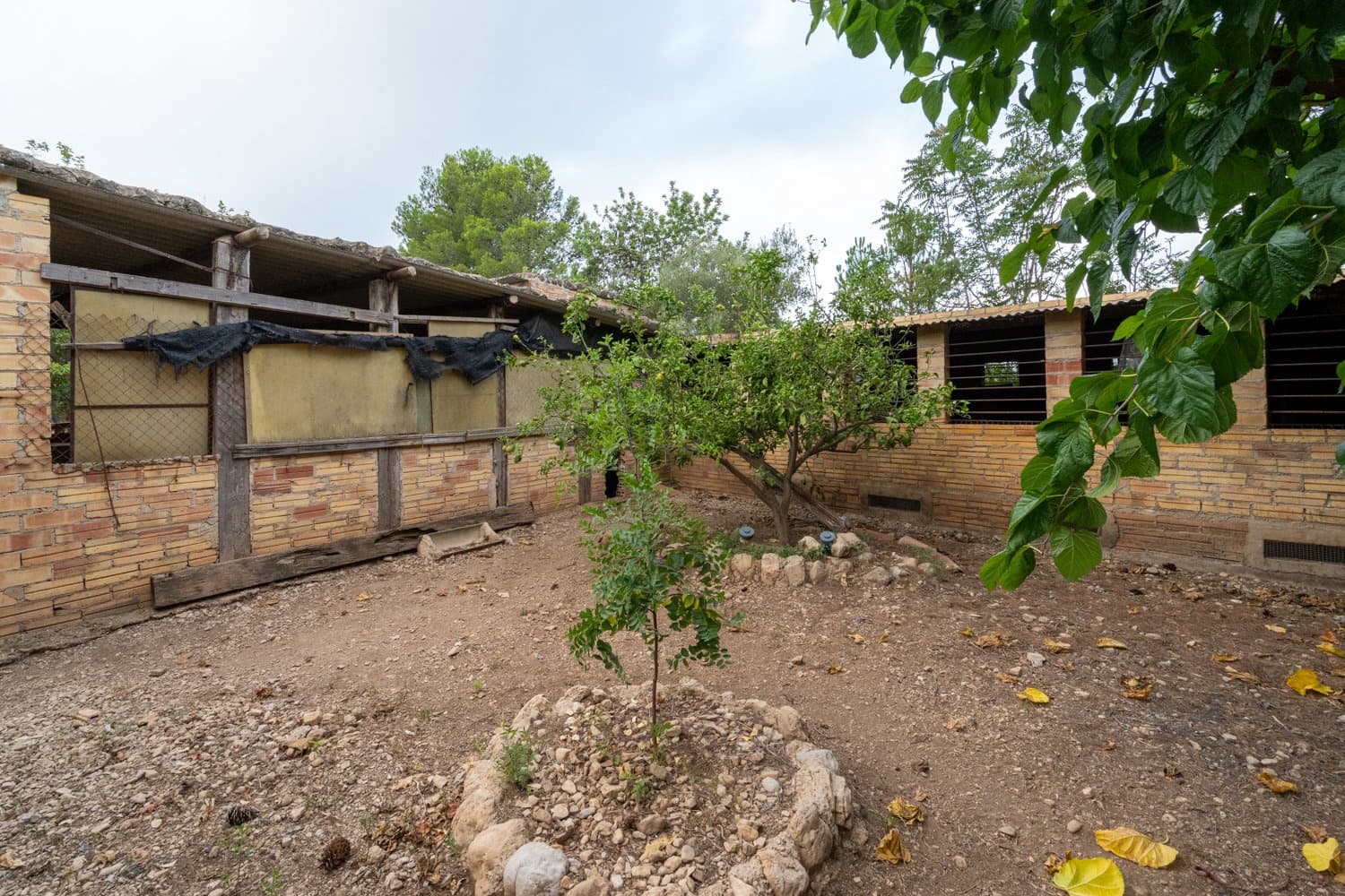 Finca/Country House for sale in Roquetes - € 160,000 (Ref: 7742698)