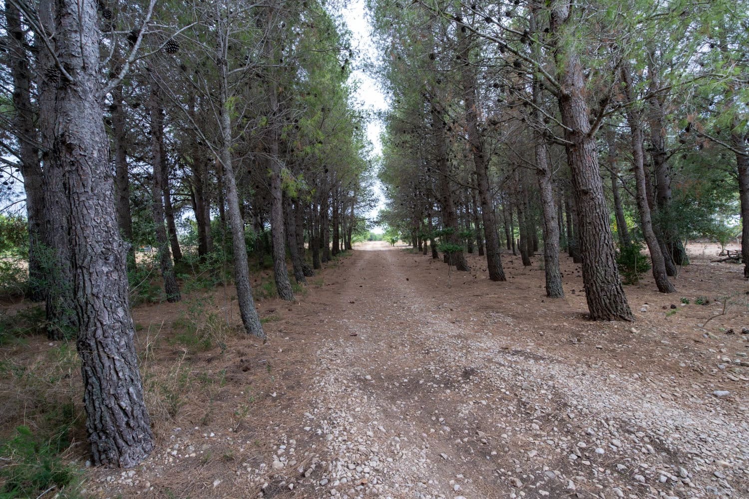 Finca/Country House for sale in Roquetes - € 160,000 (Ref: 7742698)
