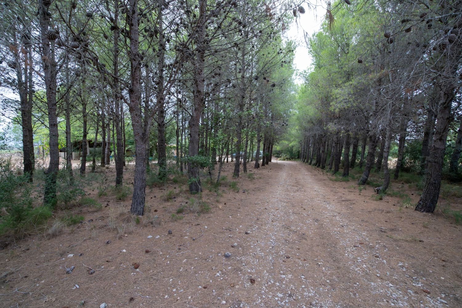 Finca/Country House for sale in Roquetes - € 160,000 (Ref: 7742698)