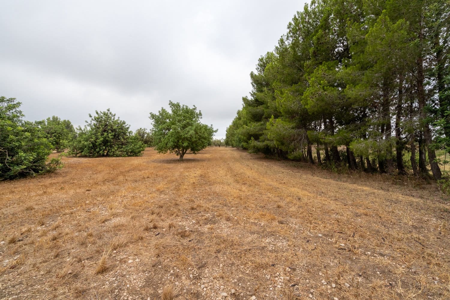 Finca/Country House for sale in Roquetes - € 160,000 (Ref: 7742698)