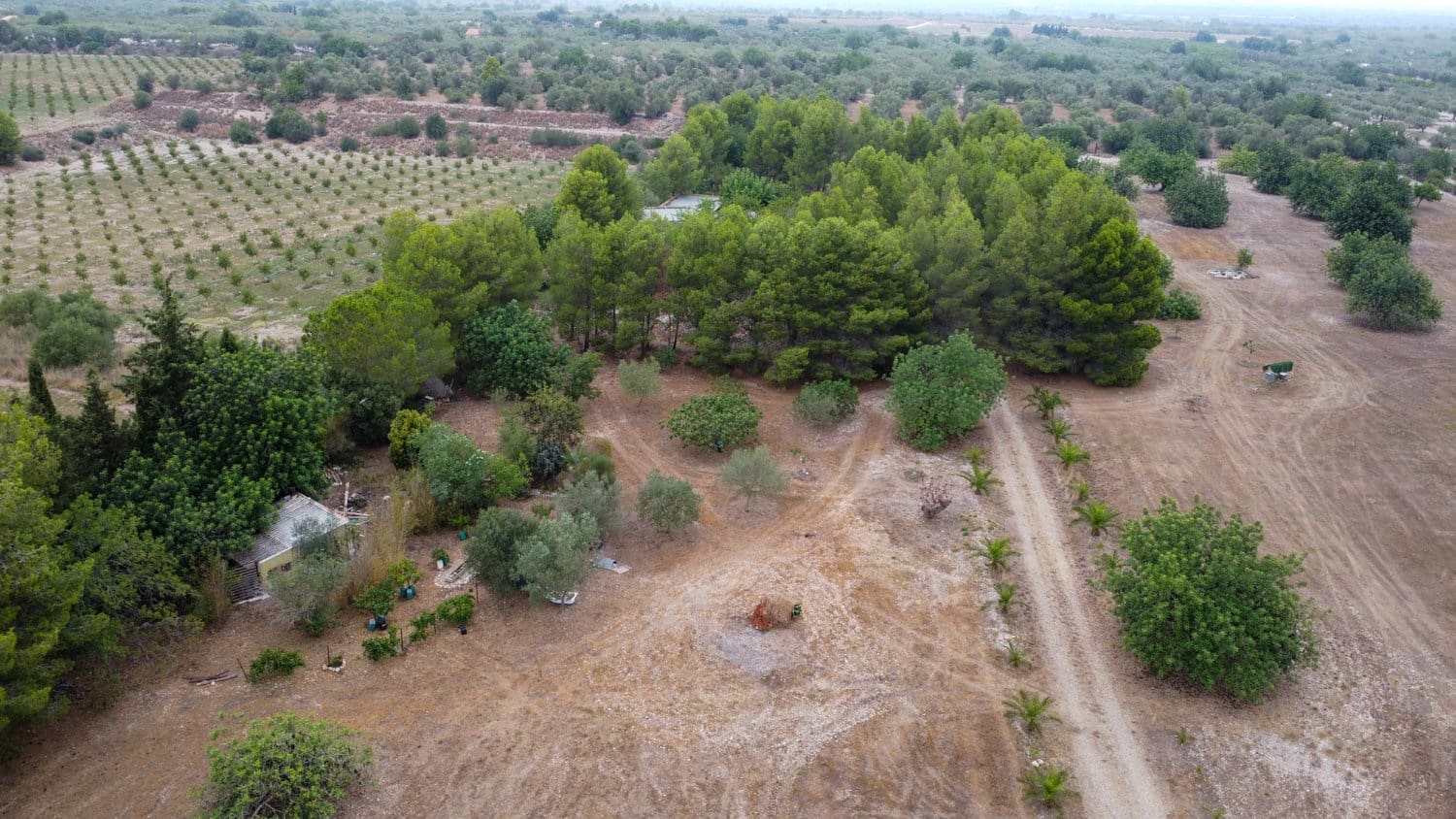Finca/Country House for sale in Roquetes - € 160,000 (Ref: 7742698)